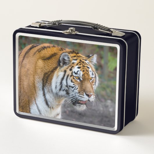 Amur Tiger (Voorkant)