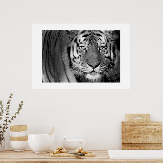 Amur Tiger #1 Poster (Keuken)