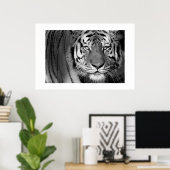 Amur Tiger #1 Poster (Thuiskantoor)