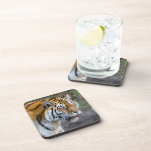Amur Tiger Bier Onderzetter
