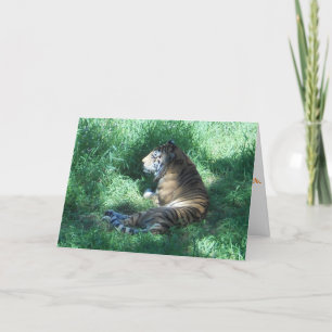 "Amur Tiger" Birthday Kaart