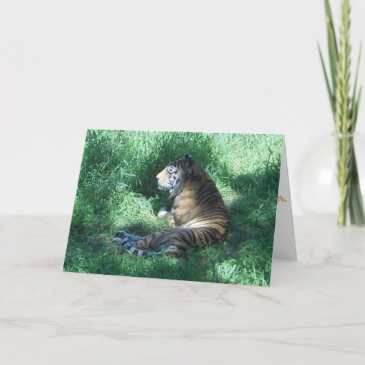 "Amur Tiger" Birthday Kaart (Voorkant)