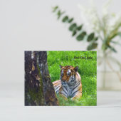 Amur Tiger Briefkaart (Staand voorkant)