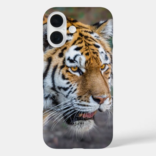 Amur Tiger Case-Mate iPhone Case (Achterkant)
