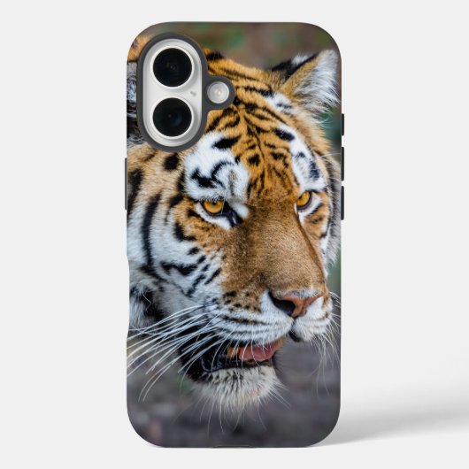 Amur Tiger Case-Mate iPhone Case (Achterkant)