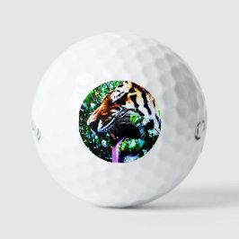 Amur Tiger css gbcna Golfballen
