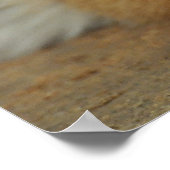 Amur Tiger Cub Poster (Hoek)