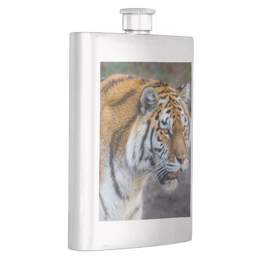Amur Tiger Flacon (Rechts)