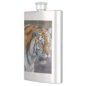 Amur Tiger Flacon (Links)