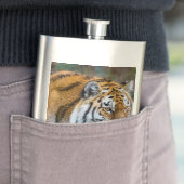 Amur Tiger Flacon (Voorbeeld)