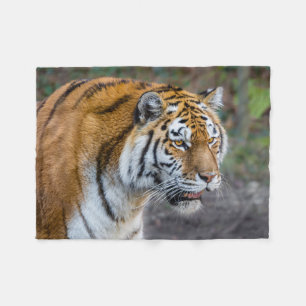 Amur Tiger Fleece Deken