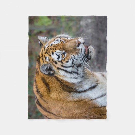Amur Tiger Fleece Deken (Voorkant)