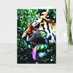 Amur Tiger gccnm Kaart