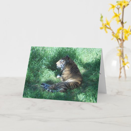 "Amur Tiger" Gefeliciteerd Kaart (Gele Bloem)