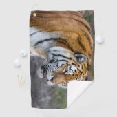 Amur Tiger Golfhanddoek (Insitu)