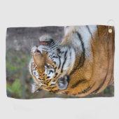 Amur Tiger Golfhanddoek (Horizontaal)