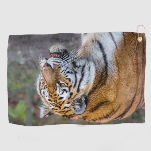 Amur Tiger Golfhanddoek (Horizontaal)