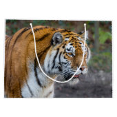 Amur Tiger Groot Cadeauzakje (Achterkant)