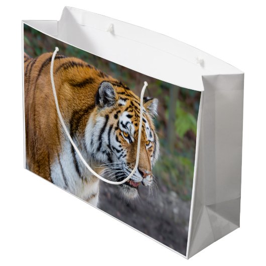 Amur Tiger Groot Cadeauzakje (Achterkant Gekanteld)