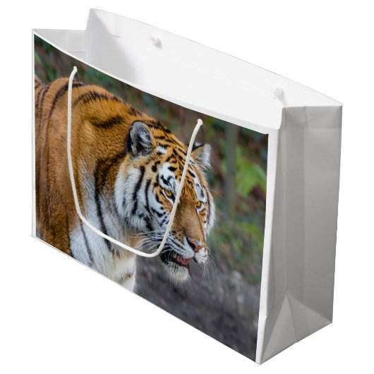 Amur Tiger Groot Cadeauzakje (Voorkant Gekanteld)