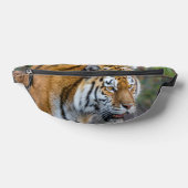 Amur Tiger Heuptasje (Liggend)