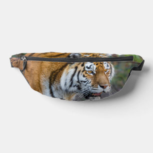 Amur Tiger Heuptasje