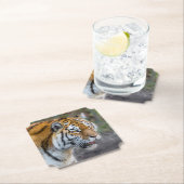 Amur Tiger Kartonnen Onderzetters (Insitu)