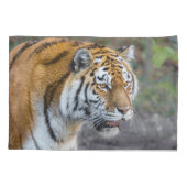 Amur Tiger Kussensloop (Achterkant)