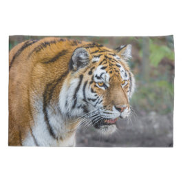 Amur Tiger Kussensloop