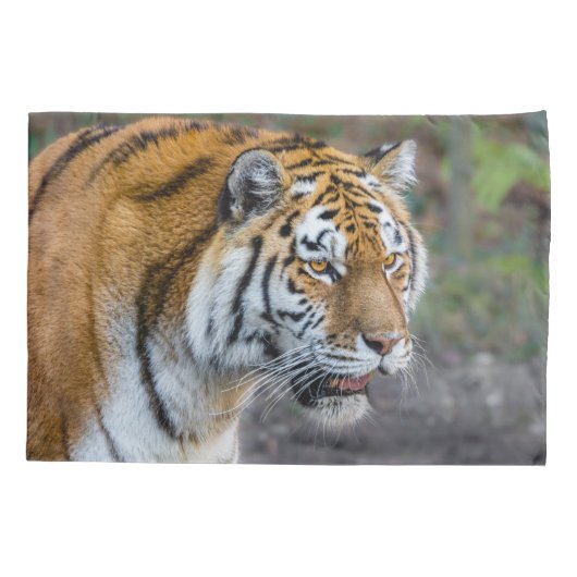 Amur Tiger Kussensloop (Achterkant)