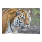 Amur Tiger Kussensloop (Voorkant)