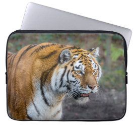 Amur Tiger Laptop Sleeve
