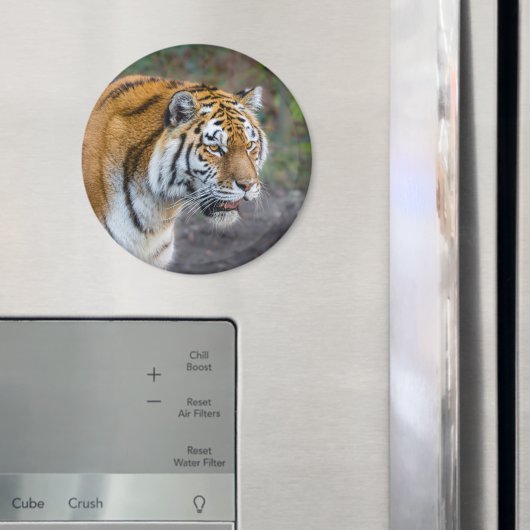 Amur Tiger Magneet (Insitu (Koelkast))