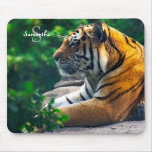 Amur Tiger Muismat