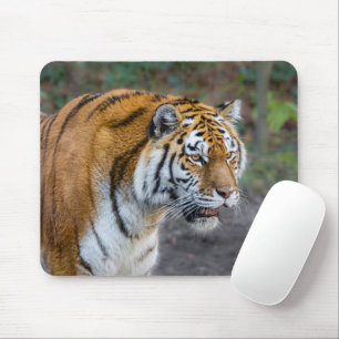 Amur Tiger Muismat
