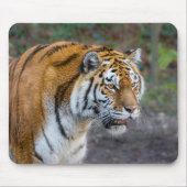 Amur Tiger Muismat (Voorkant)