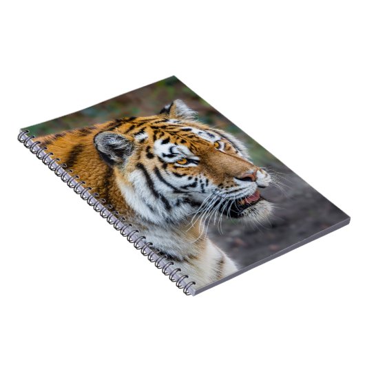 Amur Tiger Notitieboek (Rechterzijde)