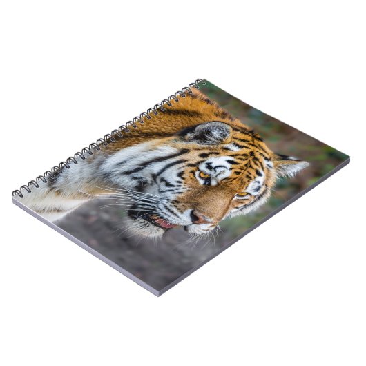 Amur Tiger Notitieboek (Linkerzijde)