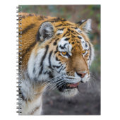 Amur Tiger Notitieboek (Voorkant)