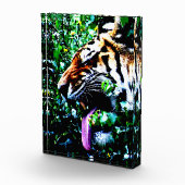 Amur Tiger pbcna Fotoblokken (Rechts)