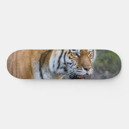 Amur Tiger Persoonlijk Skateboard