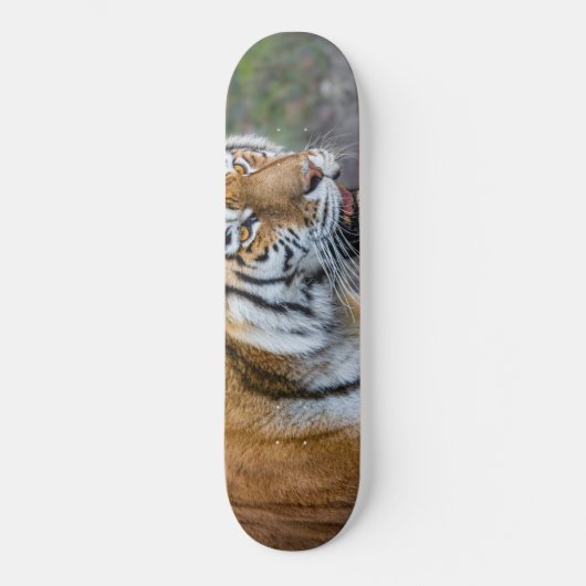 Amur Tiger Persoonlijk Skateboard (Voorkant)
