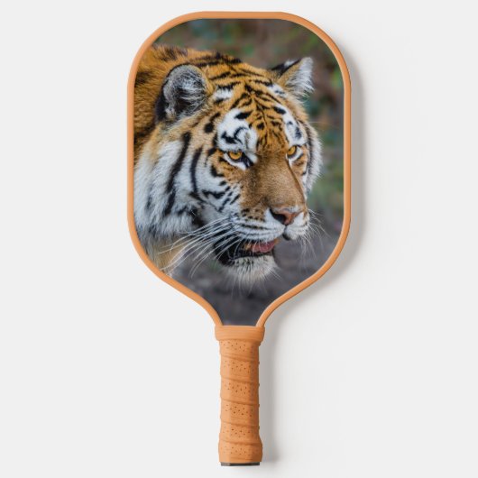 Amur Tiger Pickleball Paddle (Voorkant)