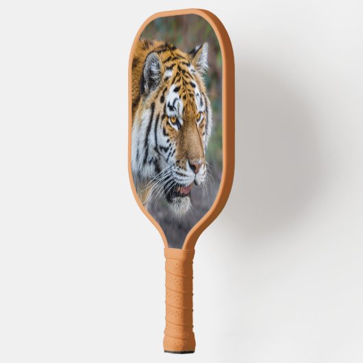 Amur Tiger Pickleball Paddle (Links)