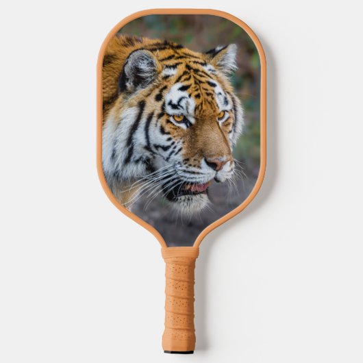 Amur Tiger Pickleball Paddle (Achterkant)