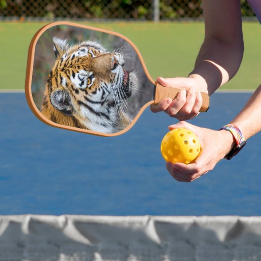 Amur Tiger Pickleball Paddle (Insitu)