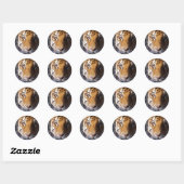 Amur Tiger Ronde Sticker (Vel)