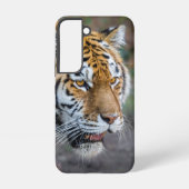 Amur Tiger Samsung Galaxy Hoesje (Achterkant)