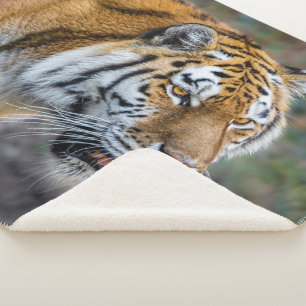 Amur Tiger Sherpa Deken