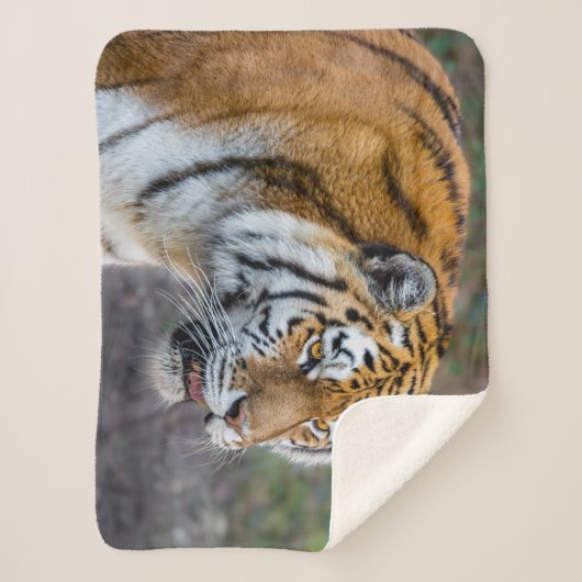 Amur Tiger Sherpa Deken (Voorkant)